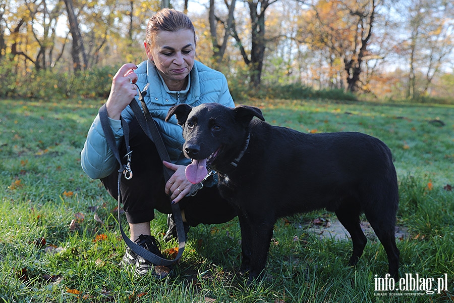 Listopadowy Bieg na 6 ap, fot. 1