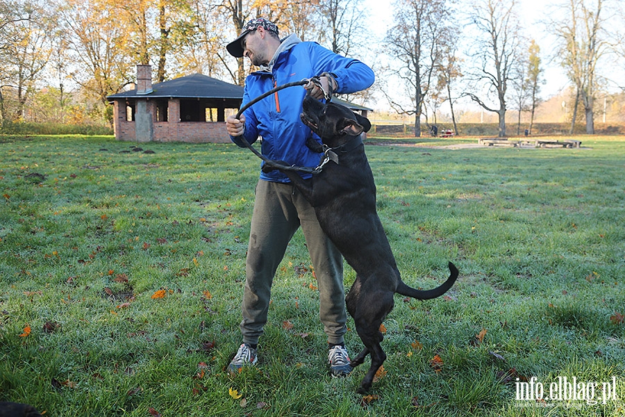 Listopadowy Bieg na 6 ap, fot. 2