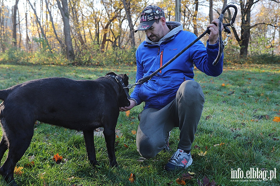 Listopadowy Bieg na 6 ap, fot. 4