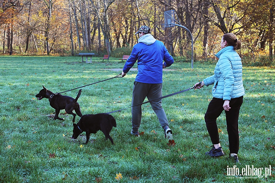 Listopadowy Bieg na 6 ap, fot. 5