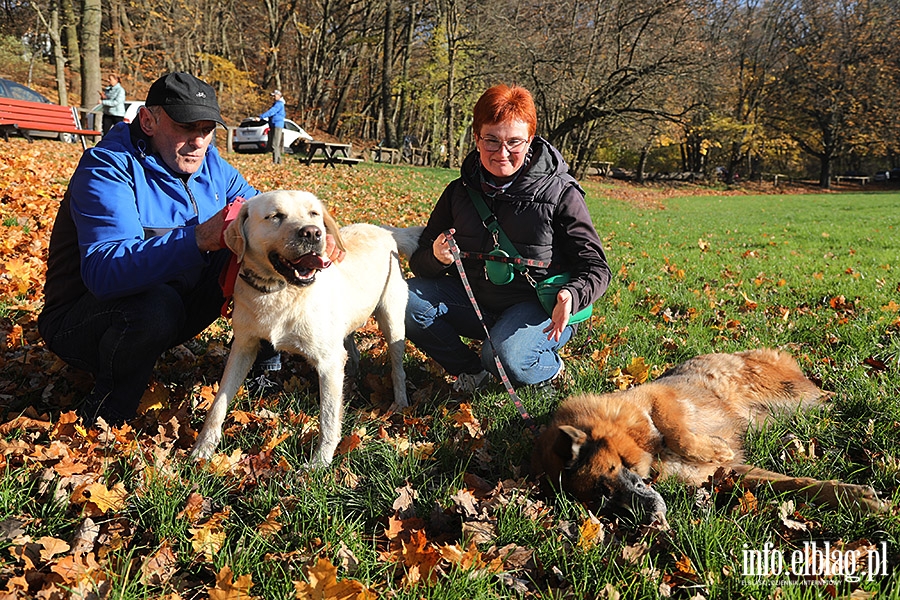 Listopadowy Bieg na 6 ap, fot. 7