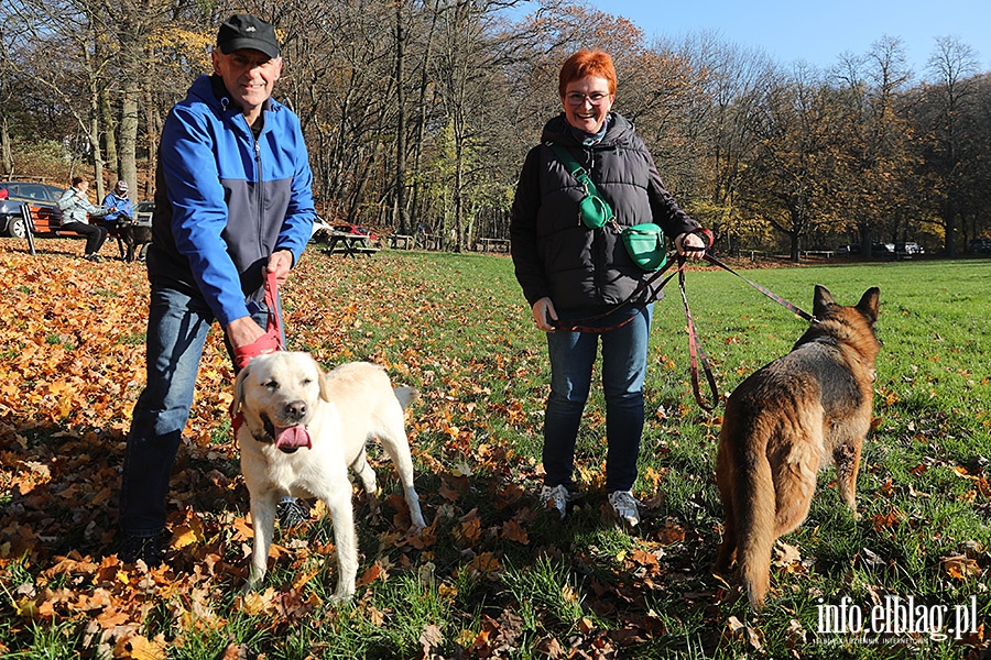 Listopadowy Bieg na 6 ap, fot. 8