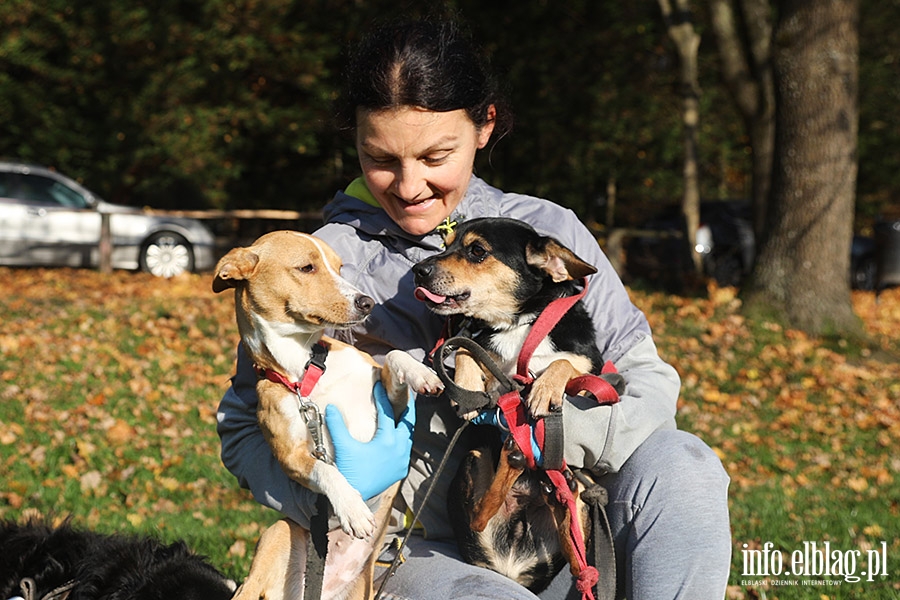 Listopadowy Bieg na 6 ap, fot. 10