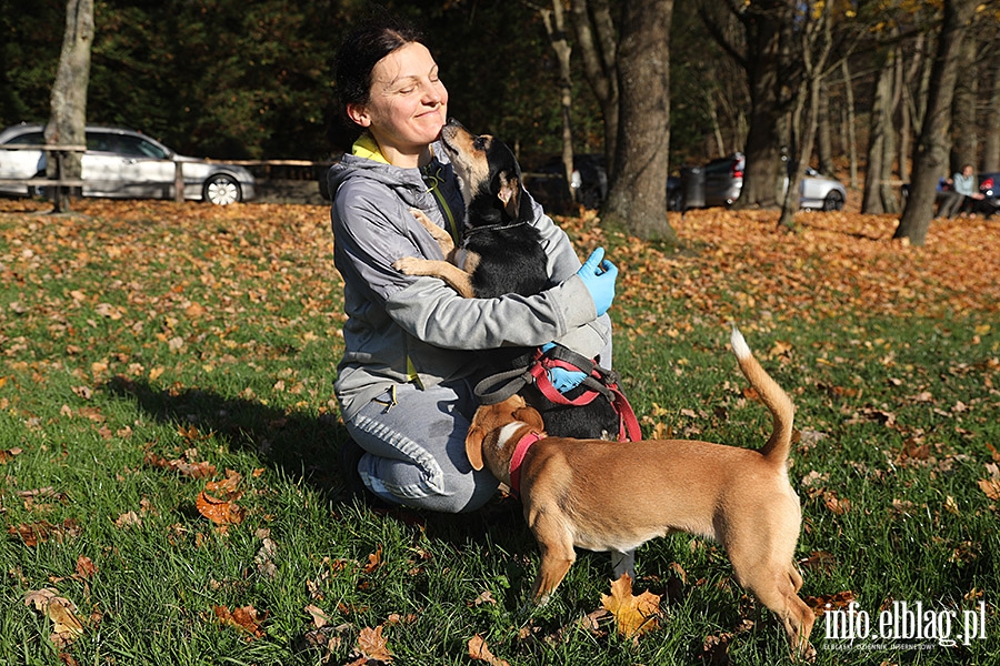 Listopadowy Bieg na 6 ap, fot. 11