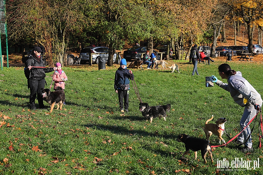 Listopadowy Bieg na 6 ap, fot. 13