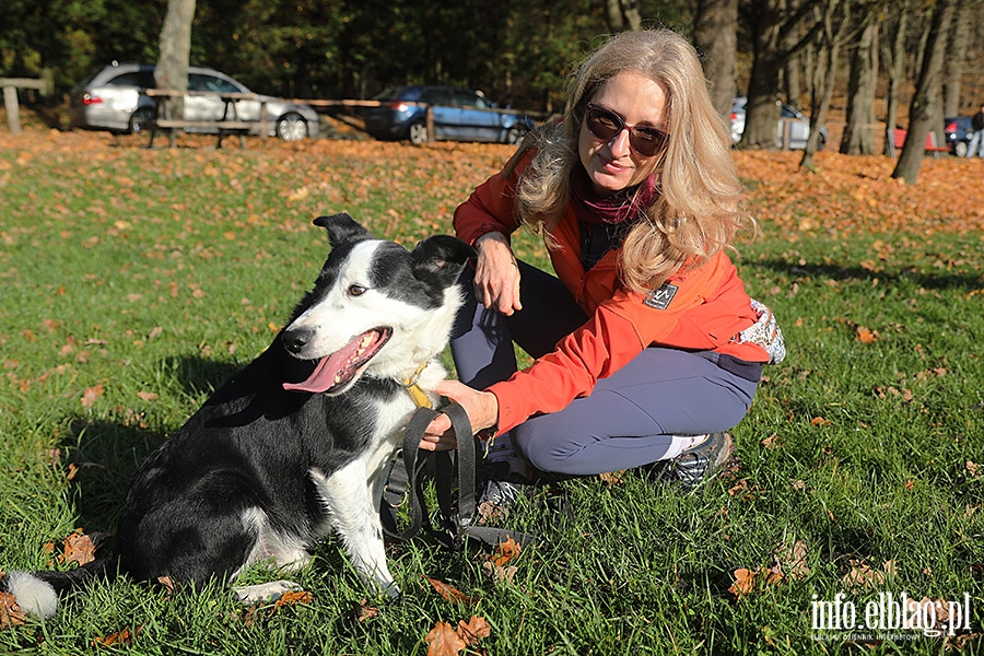 Listopadowy Bieg na 6 ap, fot. 14