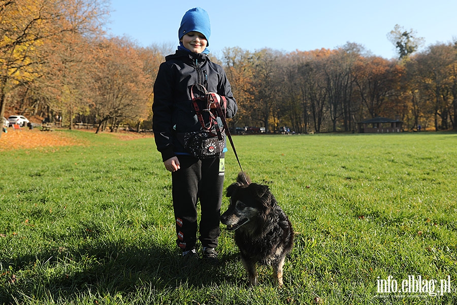 Listopadowy Bieg na 6 ap, fot. 16