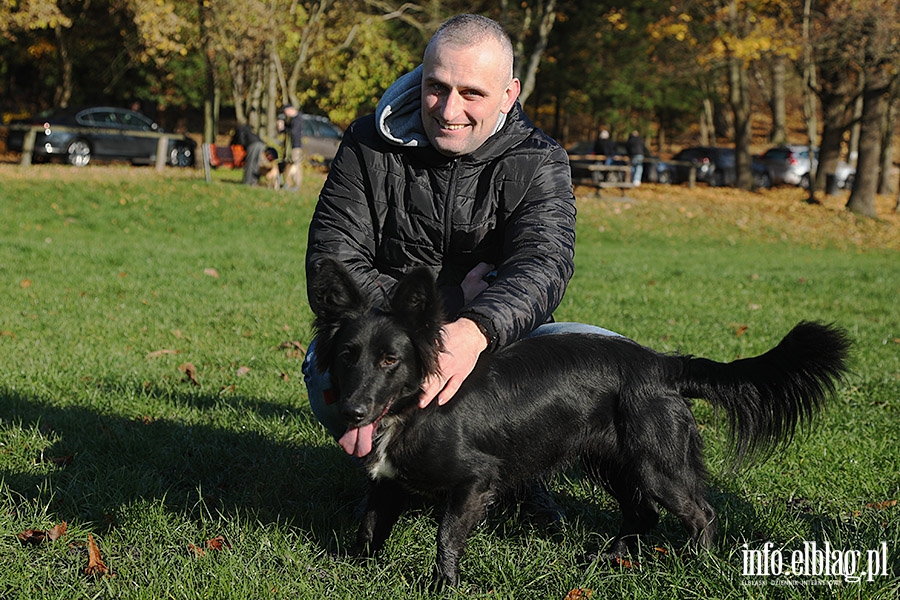 Listopadowy Bieg na 6 ap, fot. 17