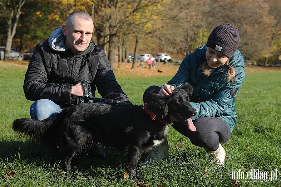 Listopadowy Bieg na 6 ap, fot. 18