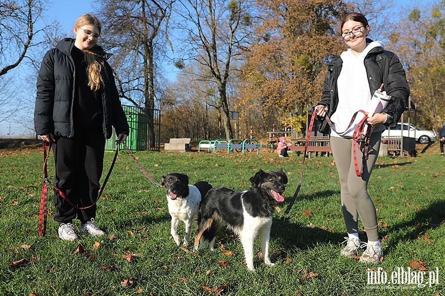 Listopadowy Bieg na 6 ap, fot. 19