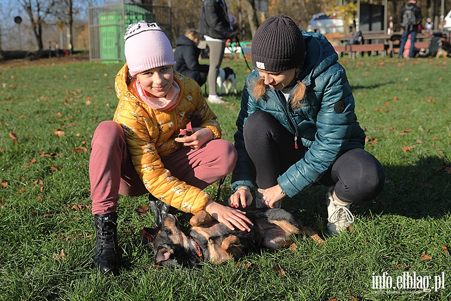 Listopadowy Bieg na 6 ap, fot. 20