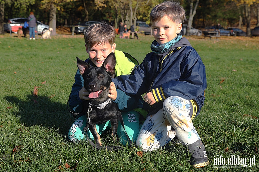 Listopadowy Bieg na 6 ap, fot. 22