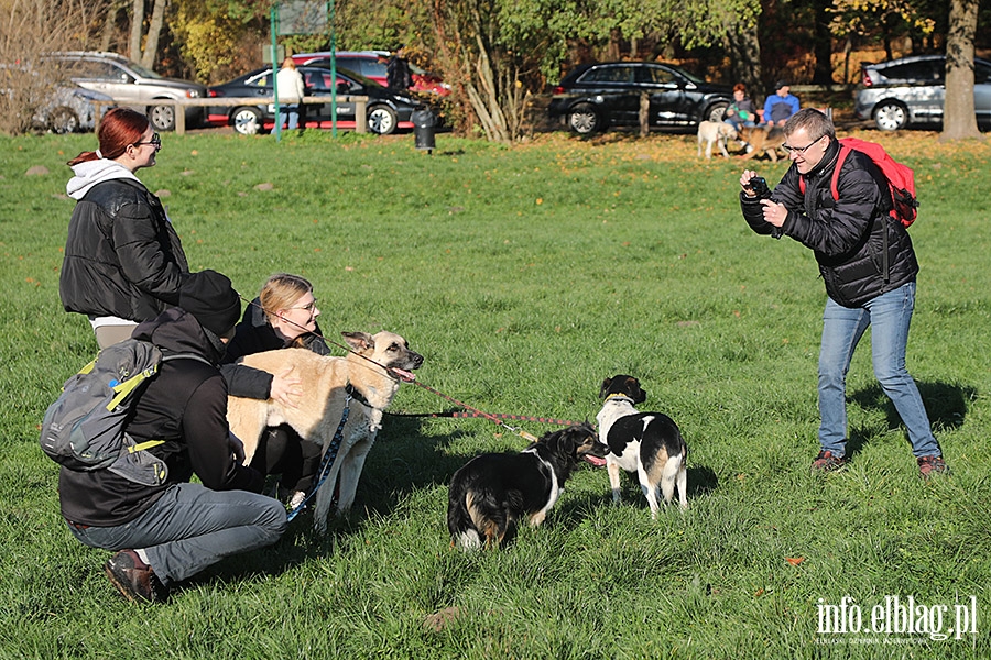 Listopadowy Bieg na 6 ap, fot. 24