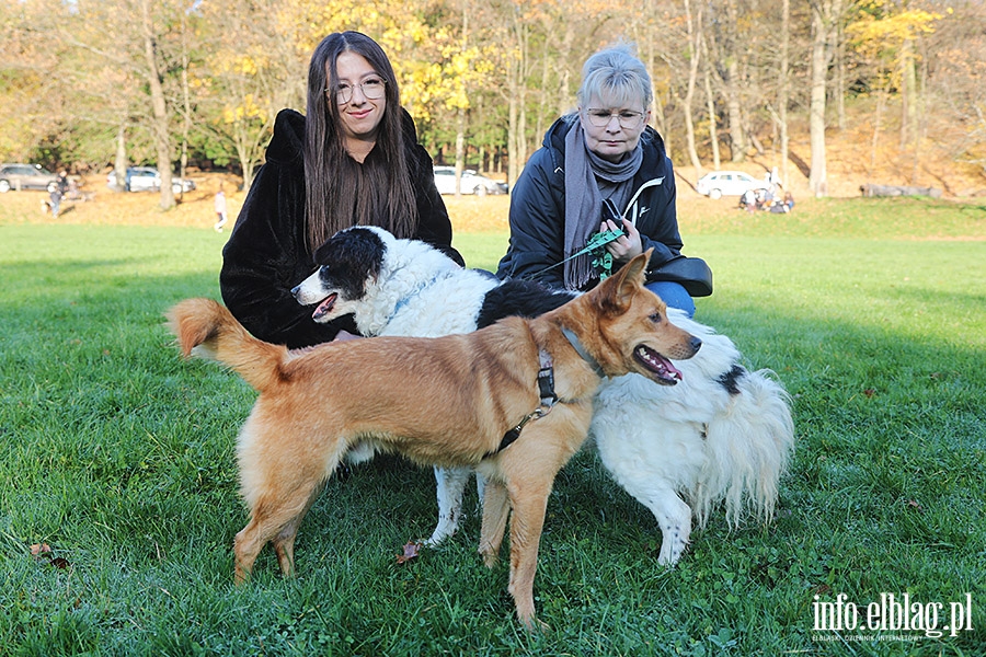 Listopadowy Bieg na 6 ap, fot. 25