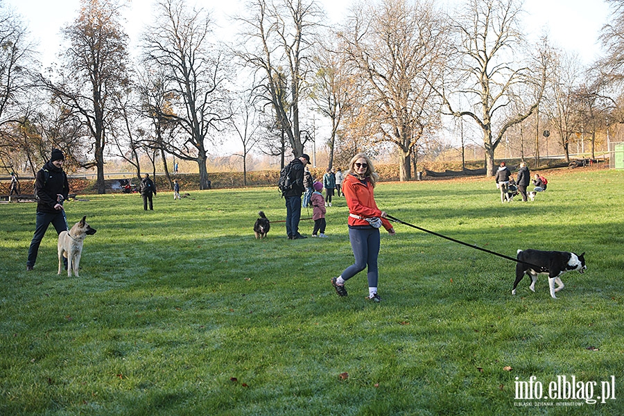 Listopadowy Bieg na 6 ap, fot. 26