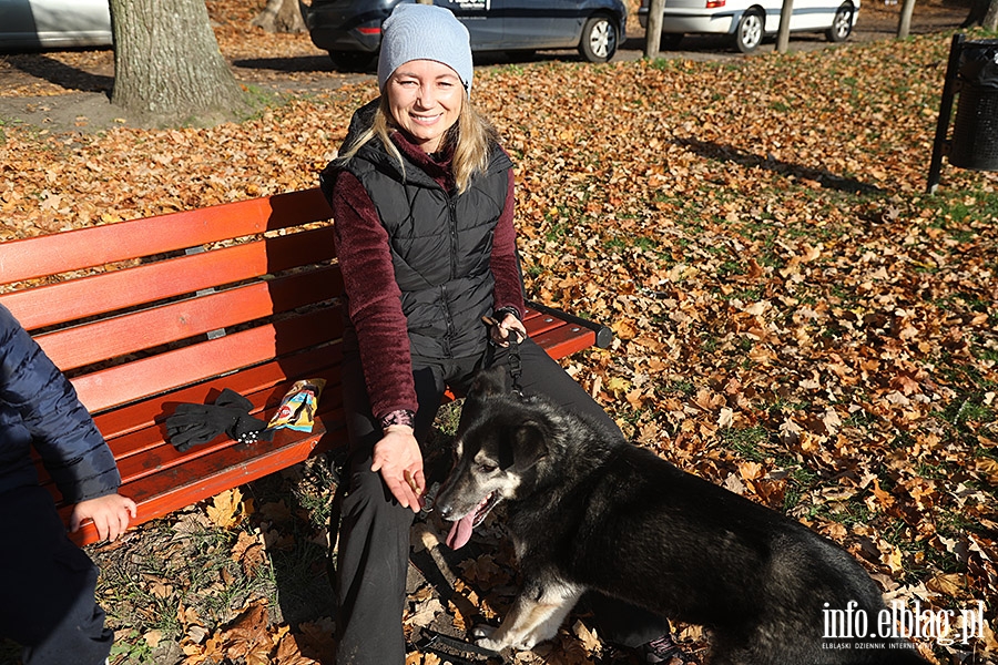 Listopadowy Bieg na 6 ap, fot. 27