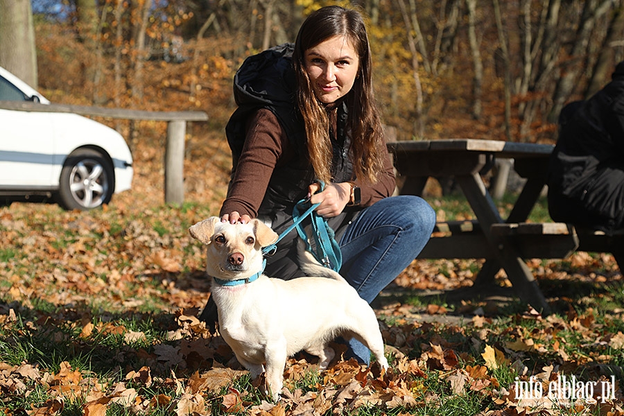 Listopadowy Bieg na 6 ap, fot. 28