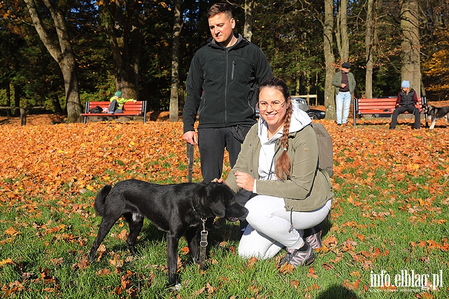 Listopadowy Bieg na 6 ap, fot. 30