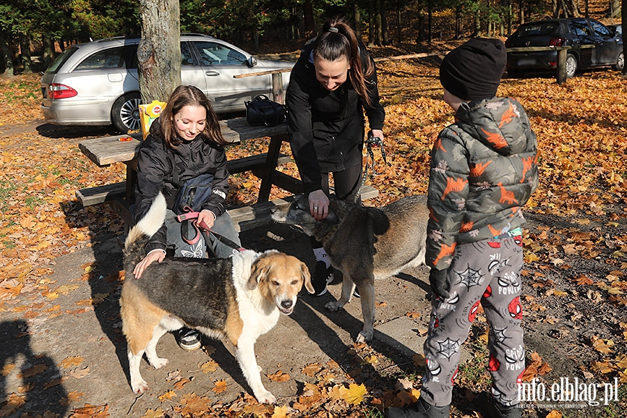 Listopadowy Bieg na 6 ap, fot. 31