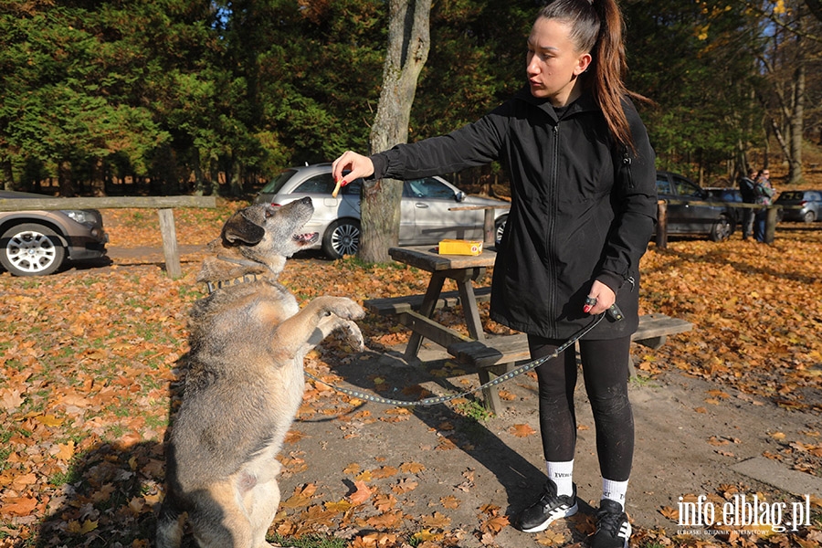 Listopadowy Bieg na 6 ap, fot. 32