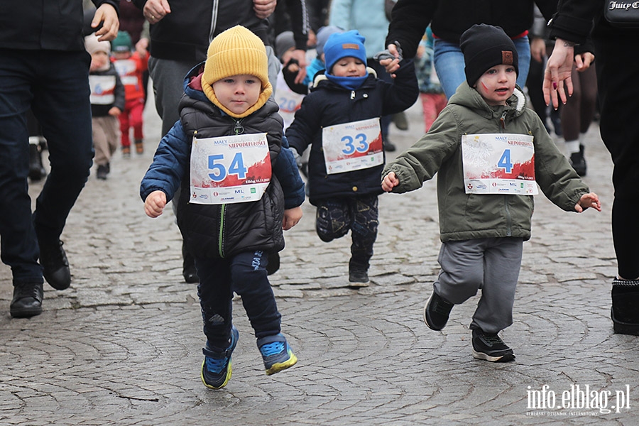 May Bieg Niepodlegoci, fot. 21