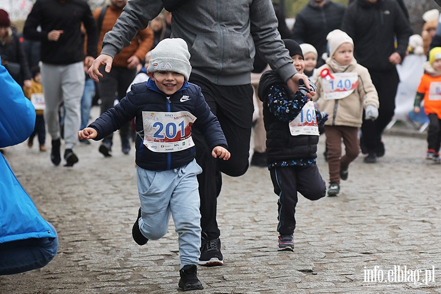 May Bieg Niepodlegoci, fot. 41