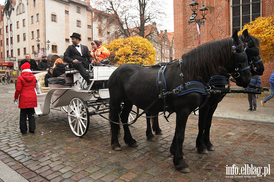 Przejadki powozem konnym po Starym Miecie, fot. 18