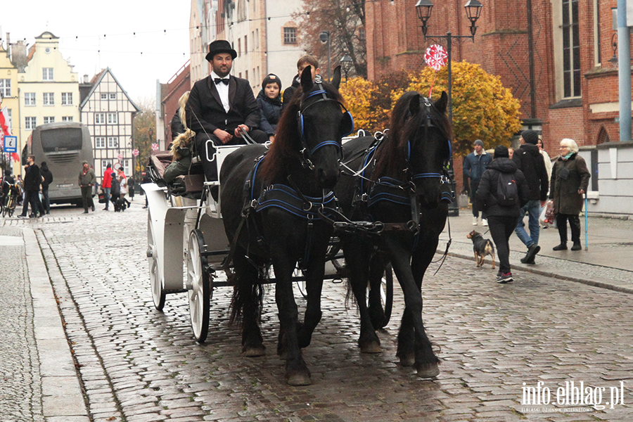 Przejadki powozem konnym po Starym Miecie, fot. 25