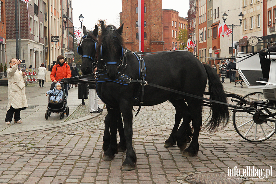 Przejadki powozem konnym po Starym Miecie, fot. 34