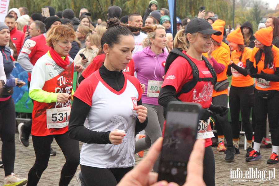 XI Elblski Bieg Niepodlegoci, fot. 2