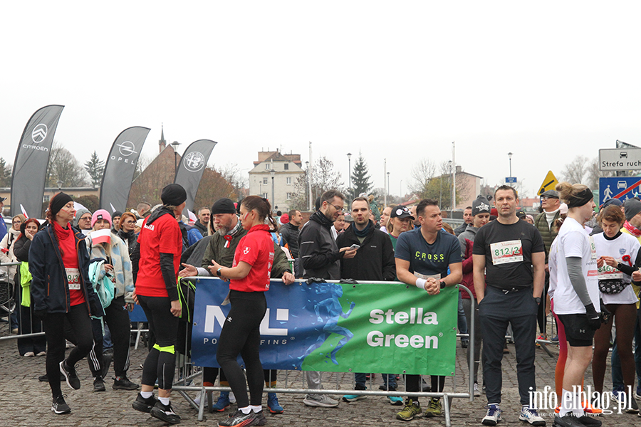 XI Elblski Bieg Niepodlegoci, fot. 4