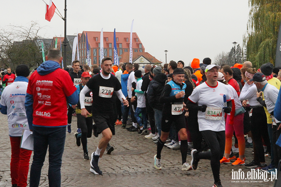 XI Elblski Bieg Niepodlegoci, fot. 11