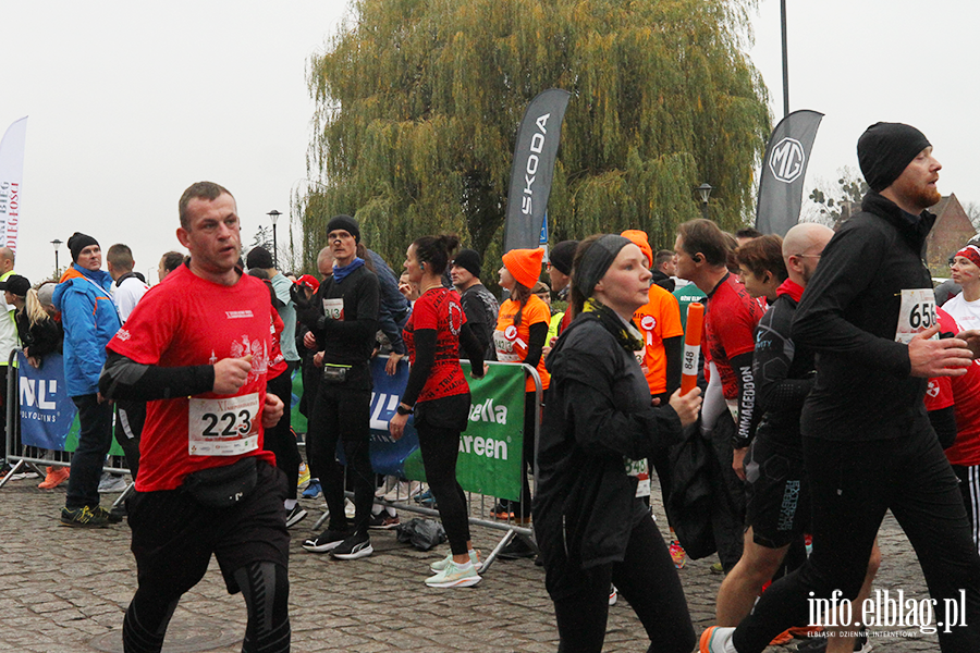 XI Elblski Bieg Niepodlegoci, fot. 16