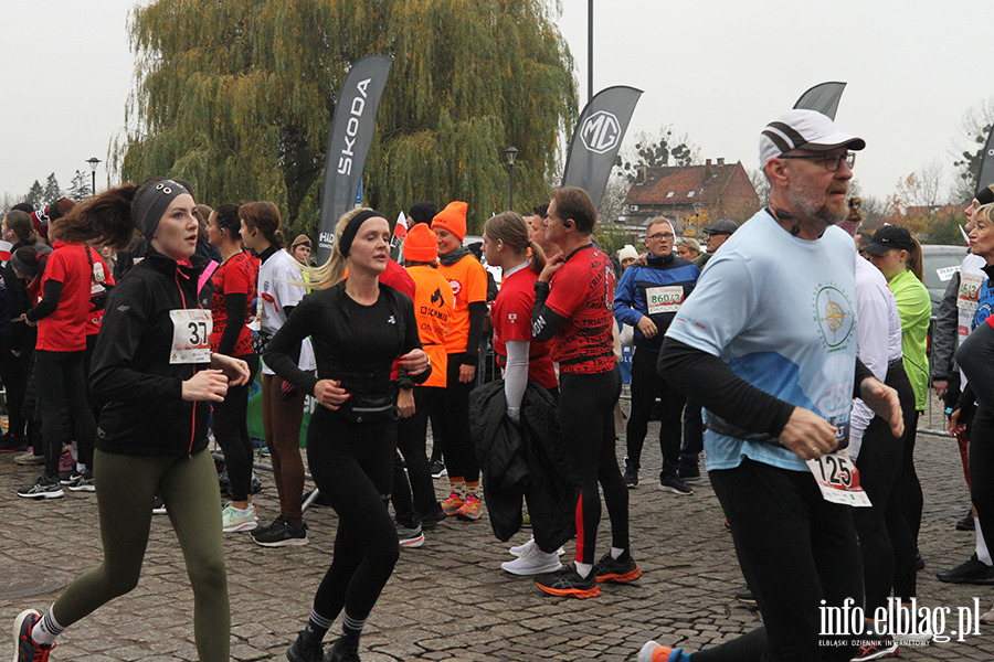 XI Elblski Bieg Niepodlegoci, fot. 17