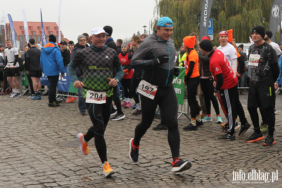 XI Elblski Bieg Niepodlegoci, fot. 22