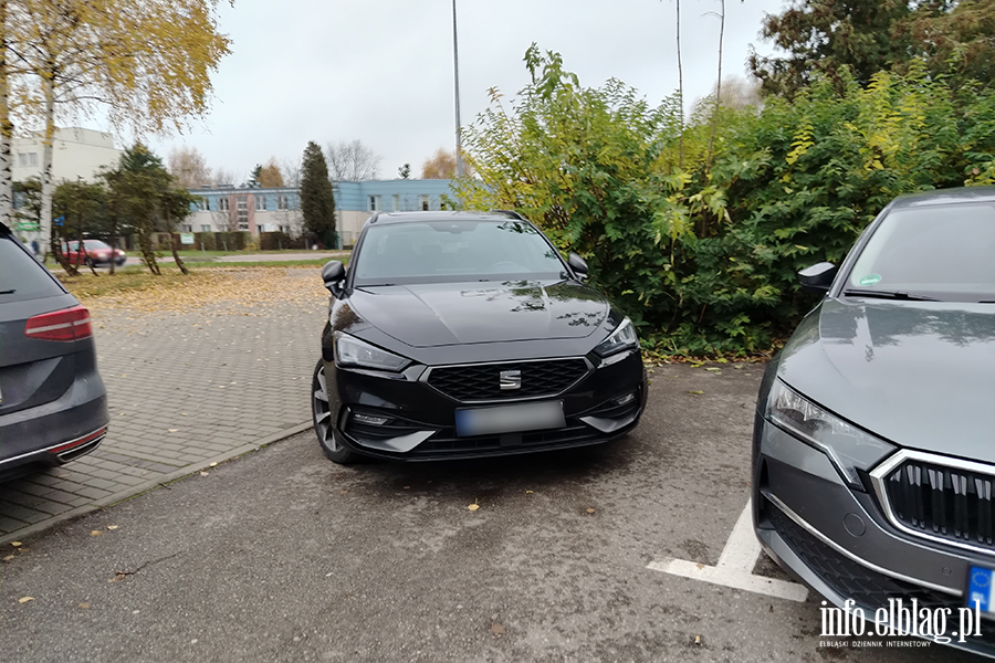 Mistrzowie Parkowania w Elblgu (cz 430), fot. 9