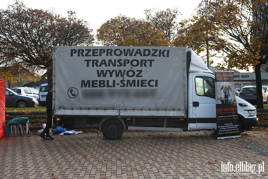 Zbirka zuytego sprztu elektronicznego na rzecz Schroniska, fot. 2