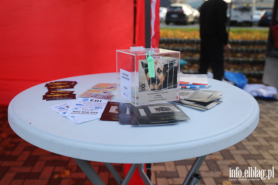 Zbirka zuytego sprztu elektronicznego na rzecz Schroniska, fot. 3