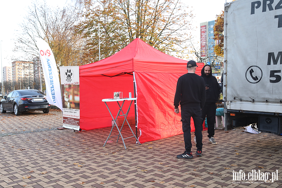 Zbirka zuytego sprztu elektronicznego na rzecz Schroniska, fot. 5
