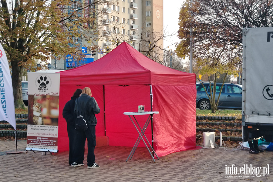 Zbirka zuytego sprztu elektronicznego na rzecz Schroniska, fot. 7