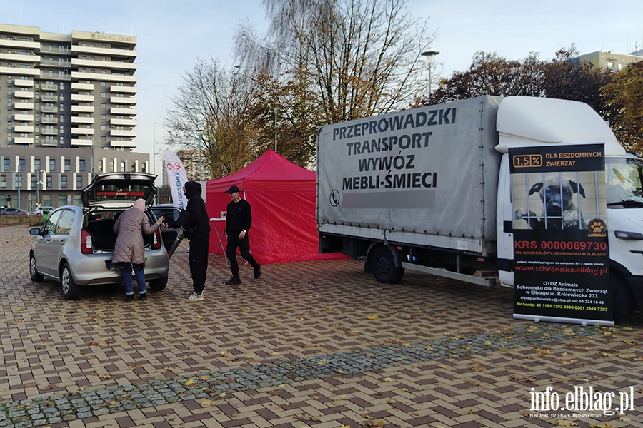 Zbirka zuytego sprztu elektronicznego na rzecz Schroniska, fot. 8