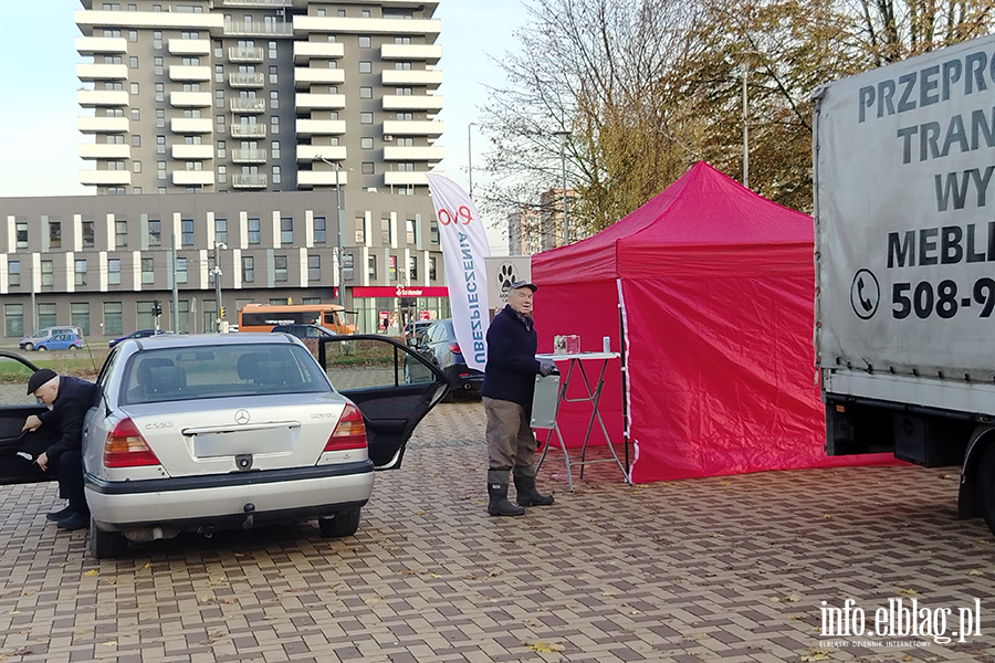 Zbirka zuytego sprztu elektronicznego na rzecz Schroniska, fot. 11