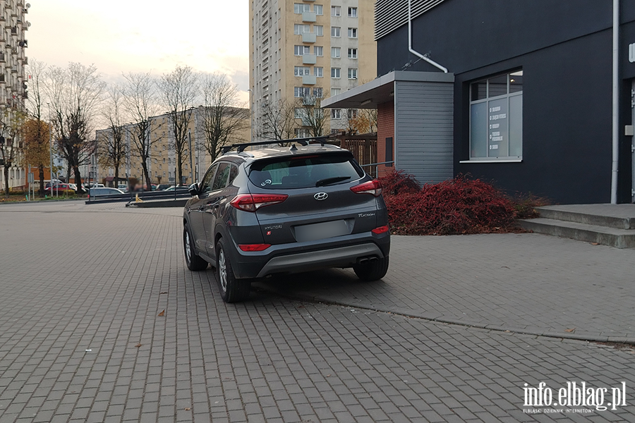 Mistrzowie Parkowania w Elblgu (cz 431), fot. 8