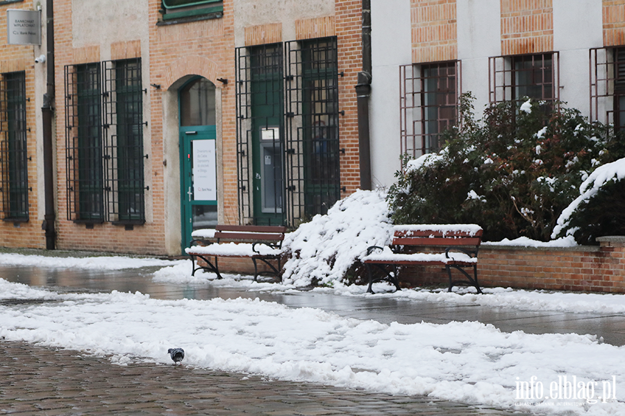 Elblg w niegu - Stare Miasto, fot. 6