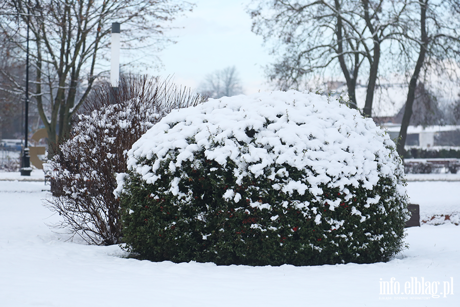 Elblg w niegu - Stare Miasto, fot. 13