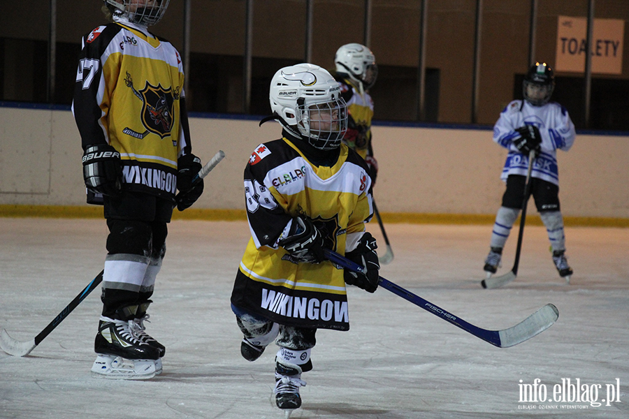 I Elblski Turniej Minihokeja na Lodzie, fot. 2