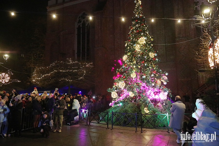 Dzi rozbysa choinka na Starym Miecie , fot. 1