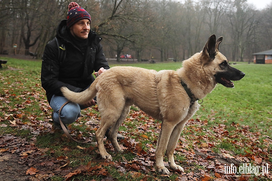 Mikoajkowy Bieg na 6 ap, fot. 1