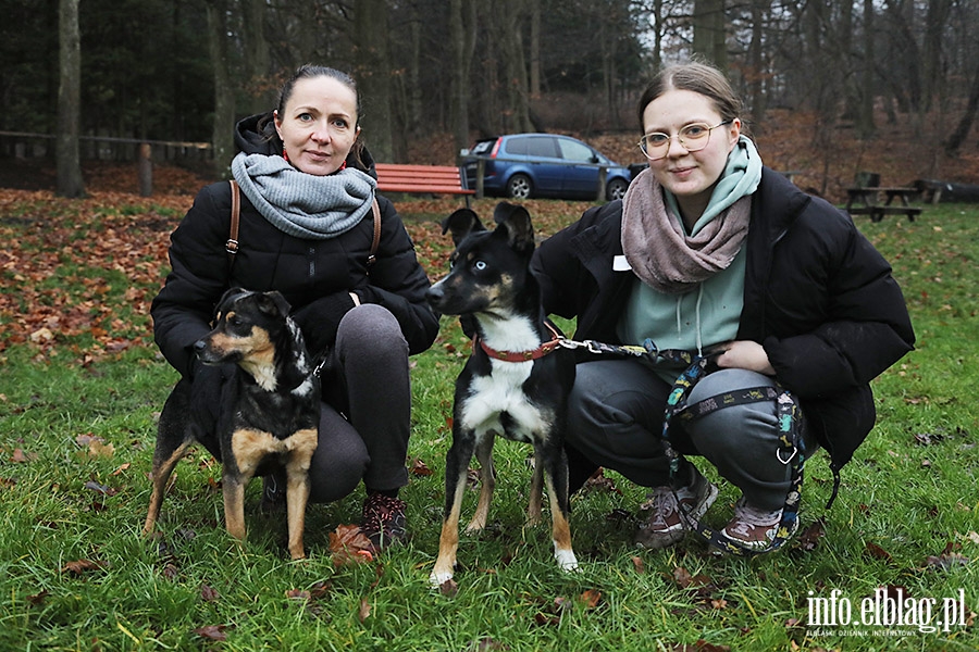 Mikoajkowy Bieg na 6 ap, fot. 3