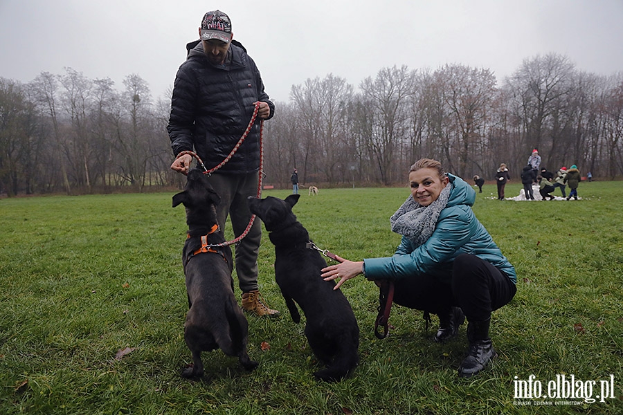 Mikoajkowy Bieg na 6 ap, fot. 4